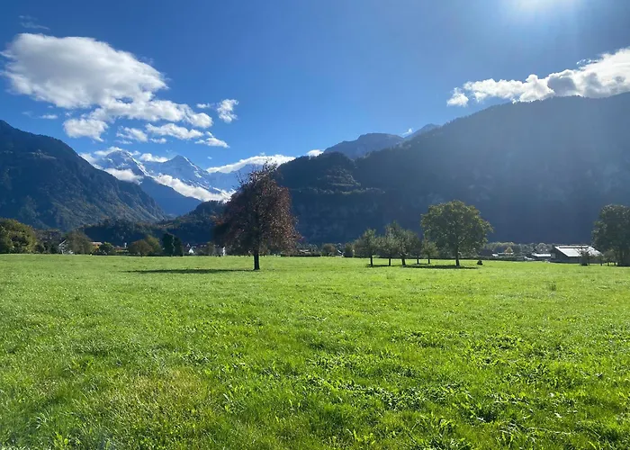 Unique Tiny Eco With Gorgeous Views To Jungfrau Massiv *