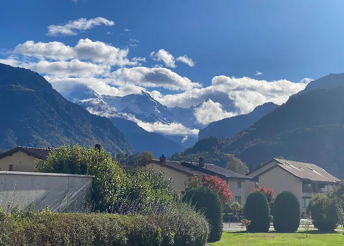 Unique Tiny Eco With Gorgeous Views To Jungfrau Massiv