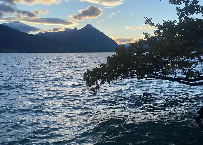 Dom wakacyjny Unique Tiny Eco With Gorgeous Views To Jungfrau Massiv Interlaken