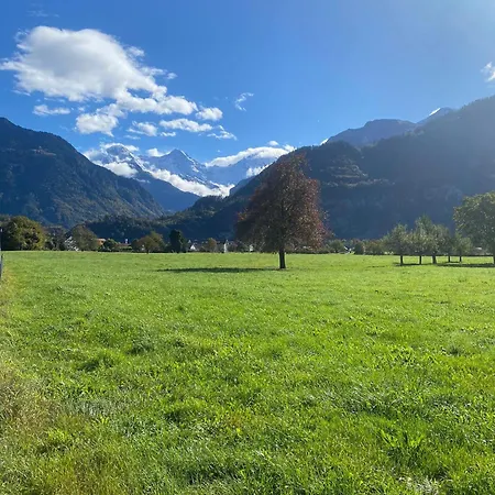 Unique Tiny Eco With Gorgeous Views To Jungfrau Massiv Dom wakacyjny *