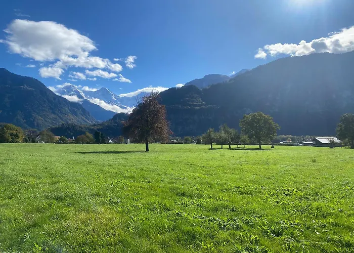 Unique Tiny Eco With Gorgeous Views To Jungfrau Massiv Dom wakacyjny