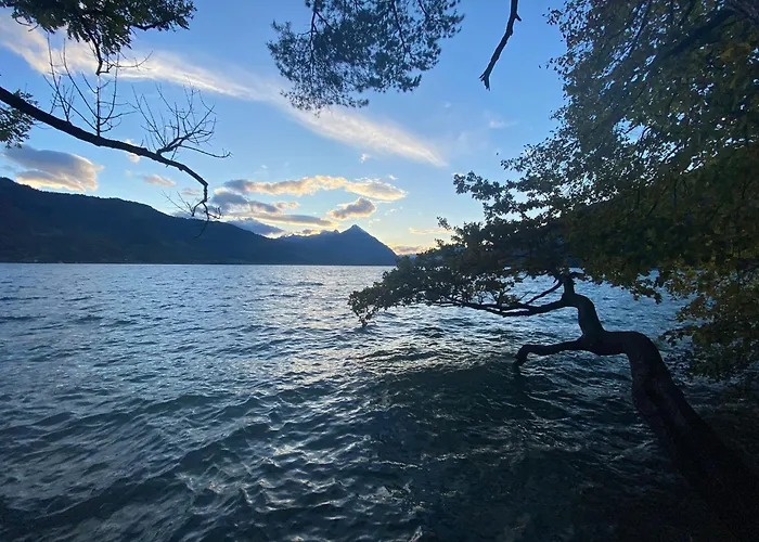Unique Tiny Eco With Gorgeous Views To Jungfrau Massiv Dom wakacyjny
