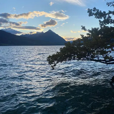 Holiday home Unique Tiny Eco With Gorgeous Views To Jungfrau Massiv Interlaken