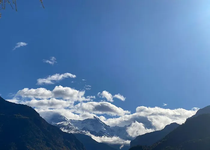 Ferienhaus Unique Tiny Eco With Gorgeous Views To Jungfrau Massiv Interlaken