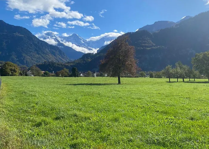 Unique Tiny Eco With Gorgeous Views To Jungfrau Massiv Ferienhaus *